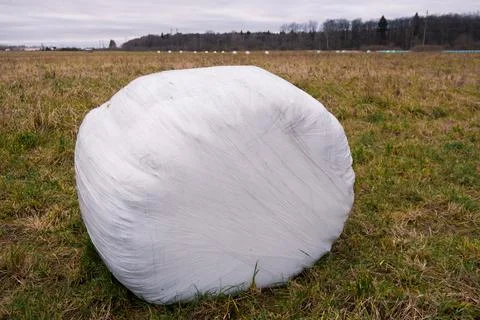 A haystack packed for winter in the field Stock Photos