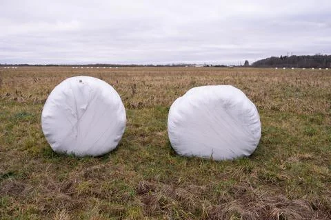 A haystack packed for winter in the field Stock Photos