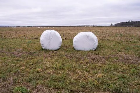 A haystack packed for winter in the field Stock-Fotos