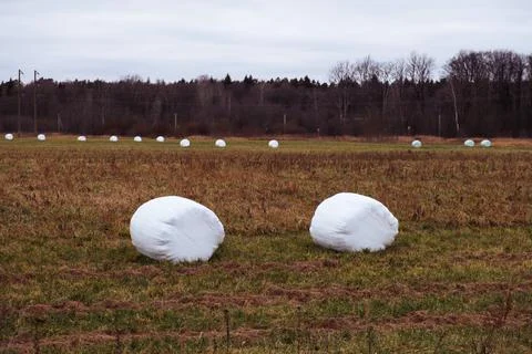 A haystack packed for winter in the field Stock Photos
