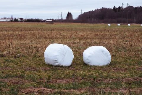 A haystack packed for winter in the field Stock Photos