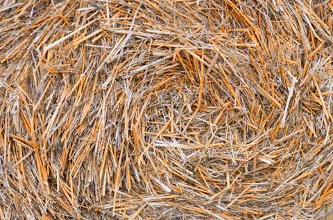 Haystack pattern close up, agriculture, the village 库存照片