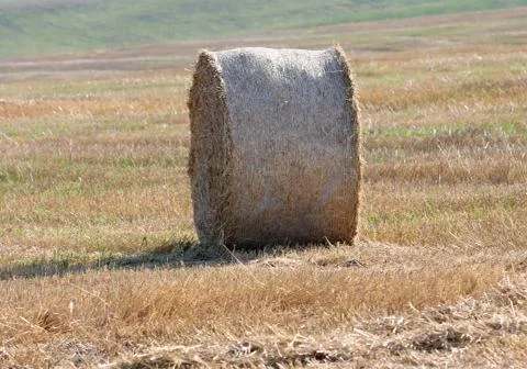Haystack Stock Photos