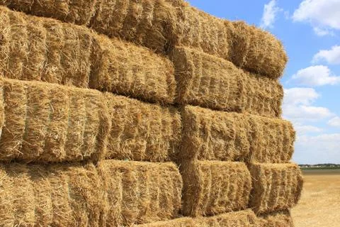 Haystack Stock Photos