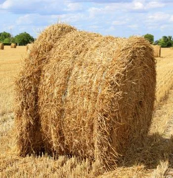 Haystack Stock Photos
