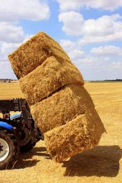 Haystack Stock Photos