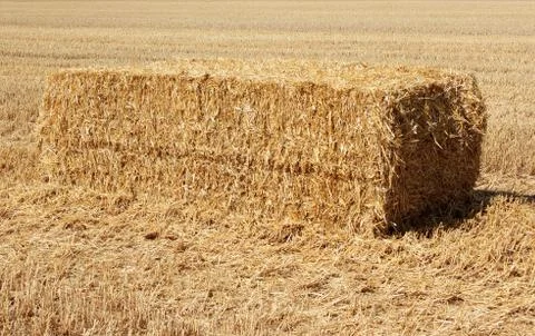 Haystack Stock Photos