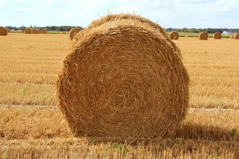 Haystack Stock Photos