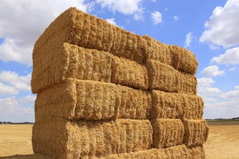 Haystack Stock Photos