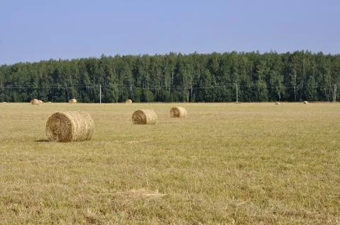 Haystack Stock Photos
