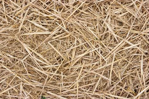 Haystack Stock Photos