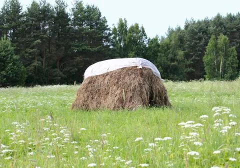 Haystack Stock Photos