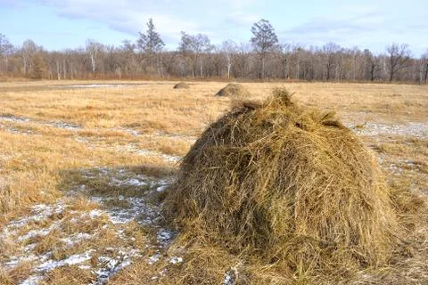 Haystack Stock Photos