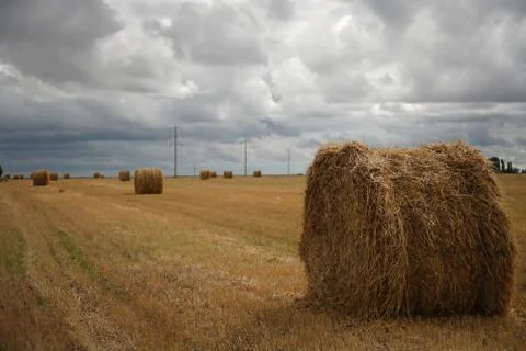 Haystack Stock Photos