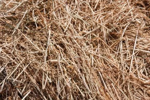 Haystack Stock Photos