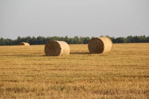 Haystack Stock Photos