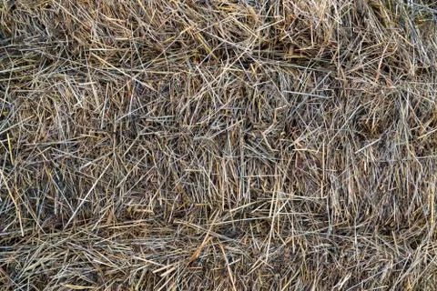 Haystack Stock Photos