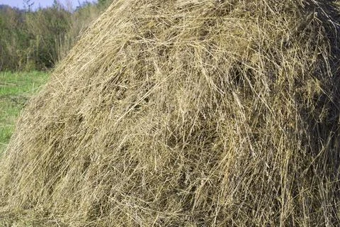 Haystack Stock Photos