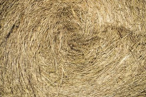 Haystack Stock Photos