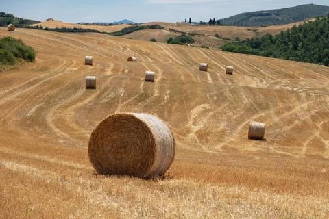 Haystack Stock Photos
