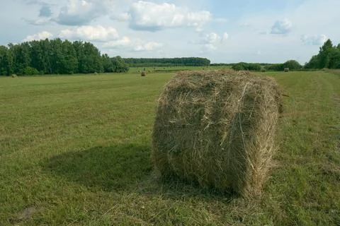 Haystack Stock Photos
