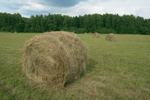 Haystack Stock Photos