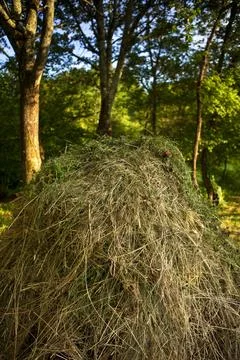Haystack Stock Photos