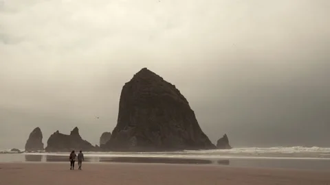 Haystack Rock 4 Stock Footage 233217494