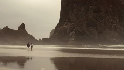 Haystack Rock 6 Stock Footage 233217556