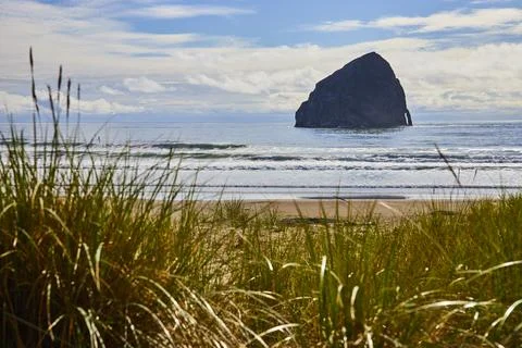 Haystack Rock and Ocean Waves Through Beach Grasses at Pacific City Stock Photos