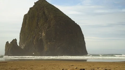 Haystack Rock beach waves, birds flying, seagulls Uncolored 库存影片 102417891