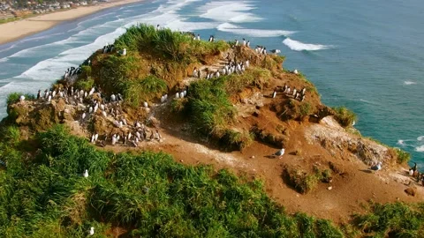 Haystack Rock, Cannon Beach Oregon 4K Aerial Vídeos de archivo 155775851