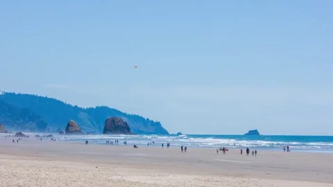 Haystack Rock at Cannon Beach Oregon – 235-Foot Basalt Sea Stack and Major Touri Stock Footage 309279900