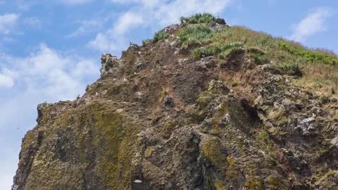 Haystack Rock on Cannon Beach Oregon – 235-Foot Basalt Sea Stack and Protected W Stock Footage 309282269