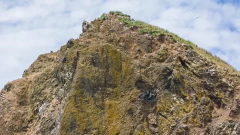 Haystack Rock at Cannon Beach – Oregon’s 235-Foot-Tall Basalt Landmark and Marin Stock Footage 309282686