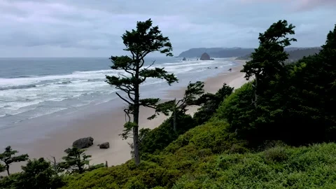 Haystack Rock on the oregon coast in Cannon Beach Stock Footage 132615505
