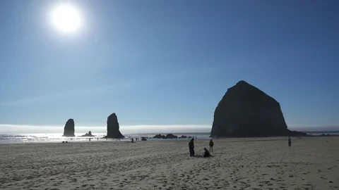 Haystack Rock Oregon Coast USA Stock Footage