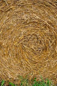 Haystack rolled into a spiral Stock Photos