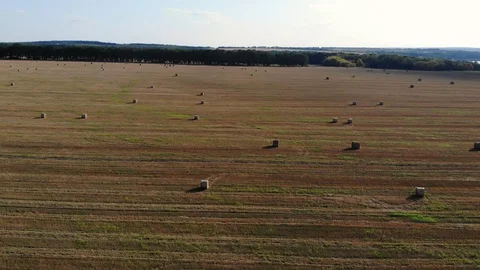 Haystack rolls on agriculture field landscape. Haystack harvesting field. Stock Footage 127597937