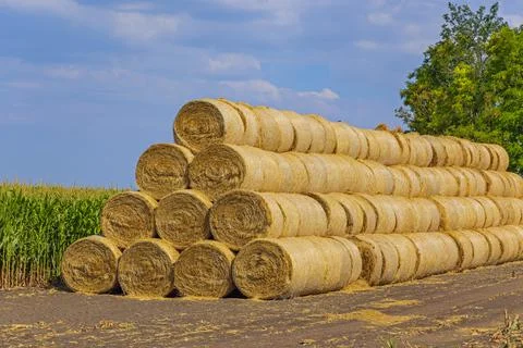 Haystack Rolls Stack Farm 库存照片