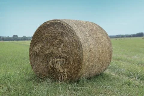 Haystack on a rural field. Stock Photos