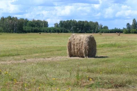 Haystack in Siberia Fotos de archivo