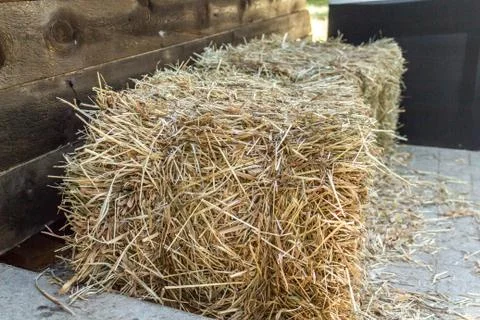 Haystack small in the sun. Lying on the ground 스톡 사진