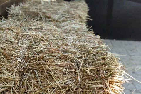 Haystack small in the sun. Lying on the ground 스톡 사진
