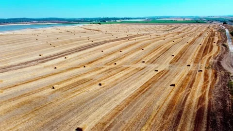 Haystack, straw, harvested grain, wheat field, agriculture, farm, aerial view Stock Footage 158848783