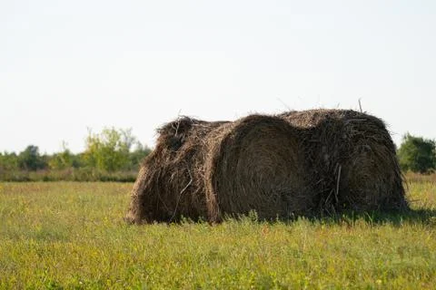 Haystack on the summer field under sunshine, the food for domestic animals Фото