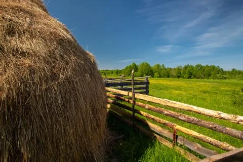 Haystack at the sunlight meadow Stock Photos