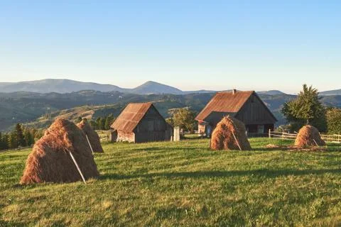 Haystack on sunset. Meadow, piece of grassland, especially one used for hay.  Stock Photos