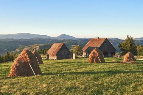 Haystack on sunset. Meadow, piece of grassland, especially one used for hay.. Stock Photos