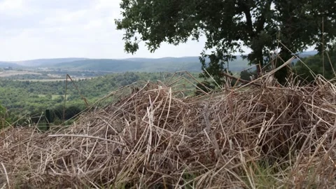 Haystack swaying on top in mountains windy weather amazing background Stock Footage 251009886